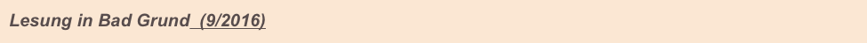 Lesung in Bad Grund  (9/2016)                 