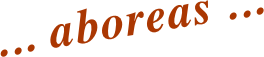 ... aboreas ...