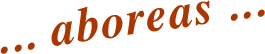 ... aboreas ...
